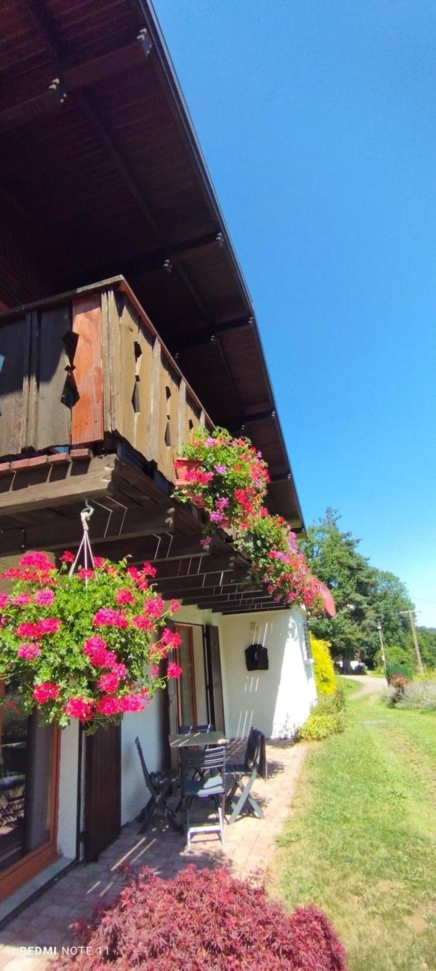 Chalet Au Bois Des Ecureuils Classe Trois Etoiles. Muhlbach-sur-Munster ภายนอก รูปภาพ