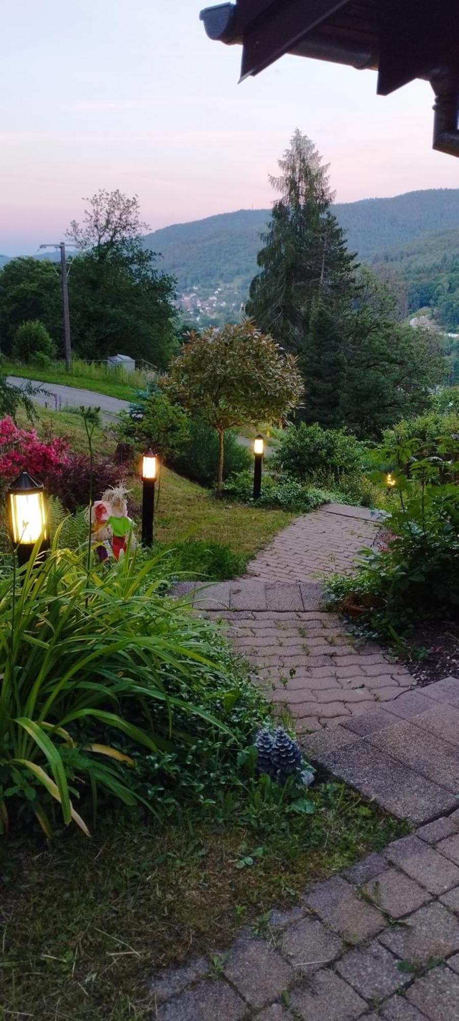 Chalet Au Bois Des Ecureuils Classe Trois Etoiles. Muhlbach-sur-Munster ภายนอก รูปภาพ