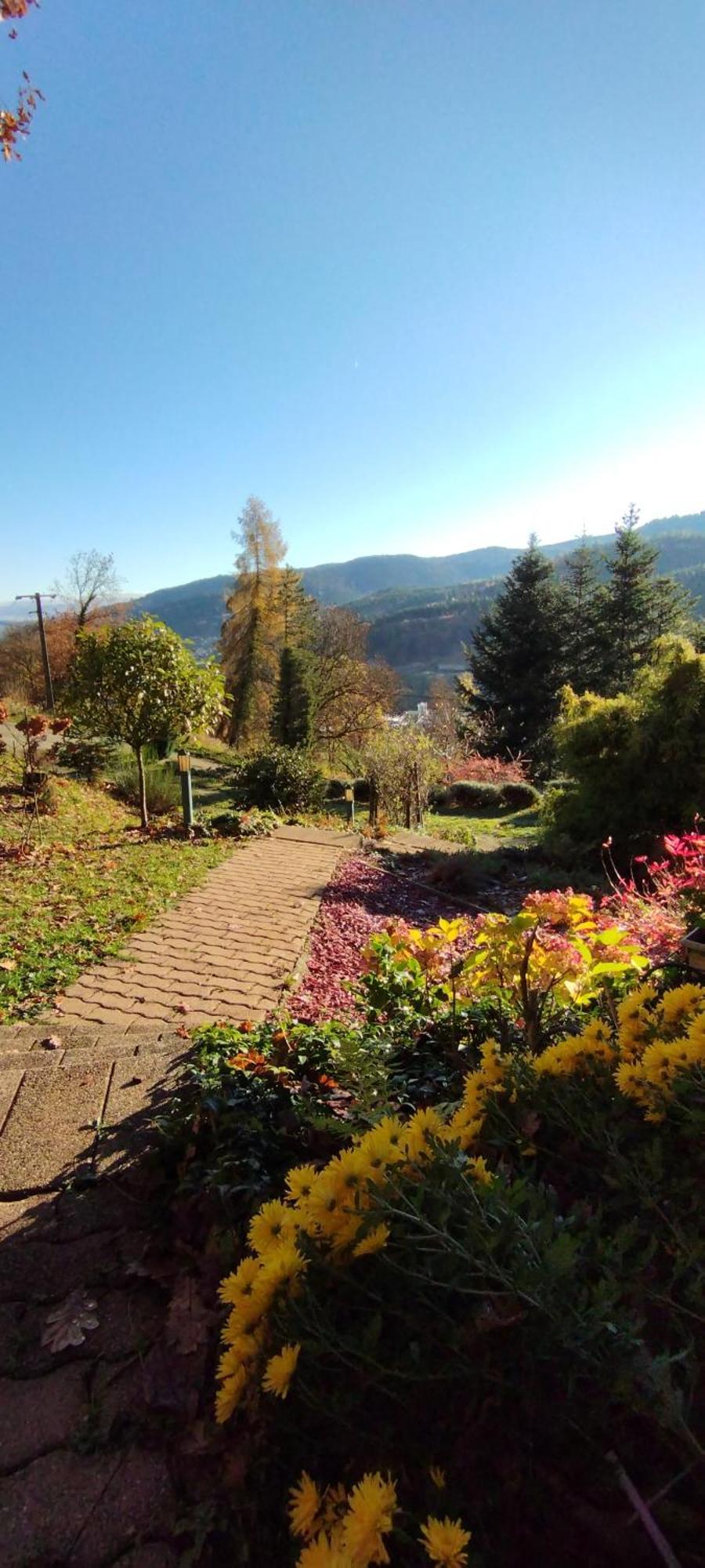 Chalet Au Bois Des Ecureuils Classe Trois Etoiles. Muhlbach-sur-Munster ภายนอก รูปภาพ
